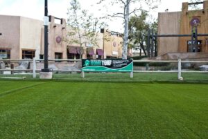 commercial turf san diego